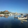 Immagine di TOWNSVILLE E IL QUEENSLAND: TRA FORESTA E BARRIERA CORALLINA