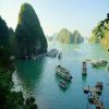 Immagine di Scopri il Vietnam: Un Viaggio tra Cultura, Natura e Magia Senza Tempo