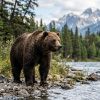 Immagine di L’Ovest Canadese: Un Viaggio tra le Cime del Mondo e il Respiro del Pacifico