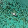 Immagine di Mauritius: L'emozione di un viaggio tra il blu infinito e la luce delle stelle