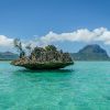 Immagine di Mauritius: L'emozione di un viaggio tra il blu infinito e la luce delle stelle