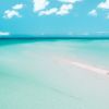 Immagine di Natale a New York & Turks and Caicos