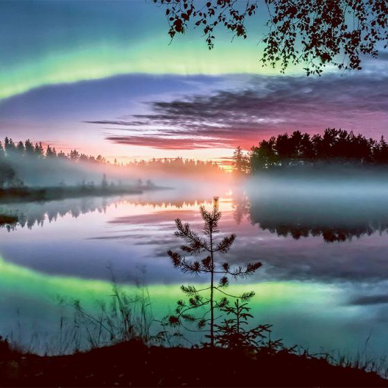 Immagine di Aurora Boreale in Lapponia - Rovaniemi e Levi